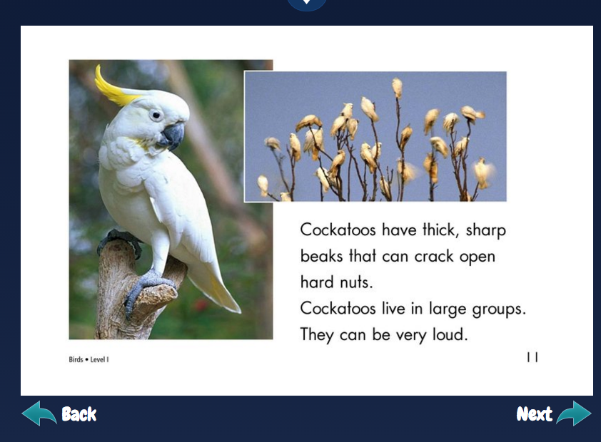 screen-shot-2016-11-04-at-4-52-49-pm